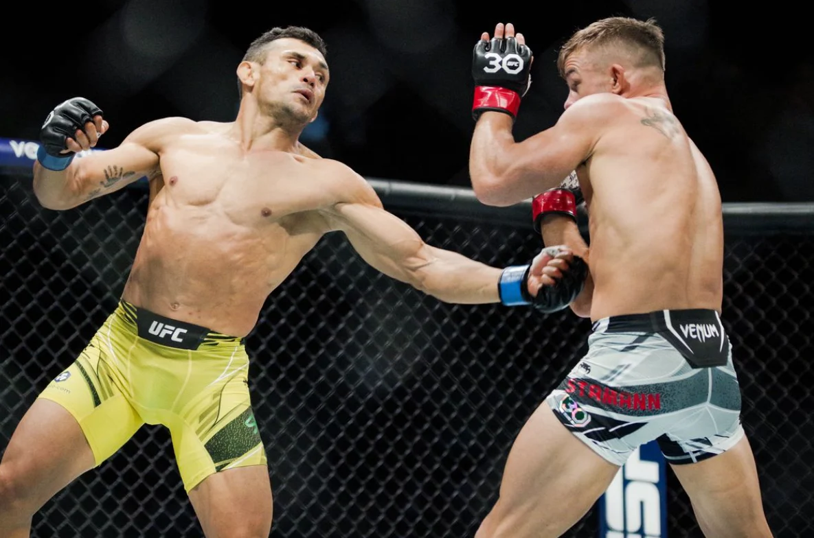 MMA Predictions & Expert Fight Picks 