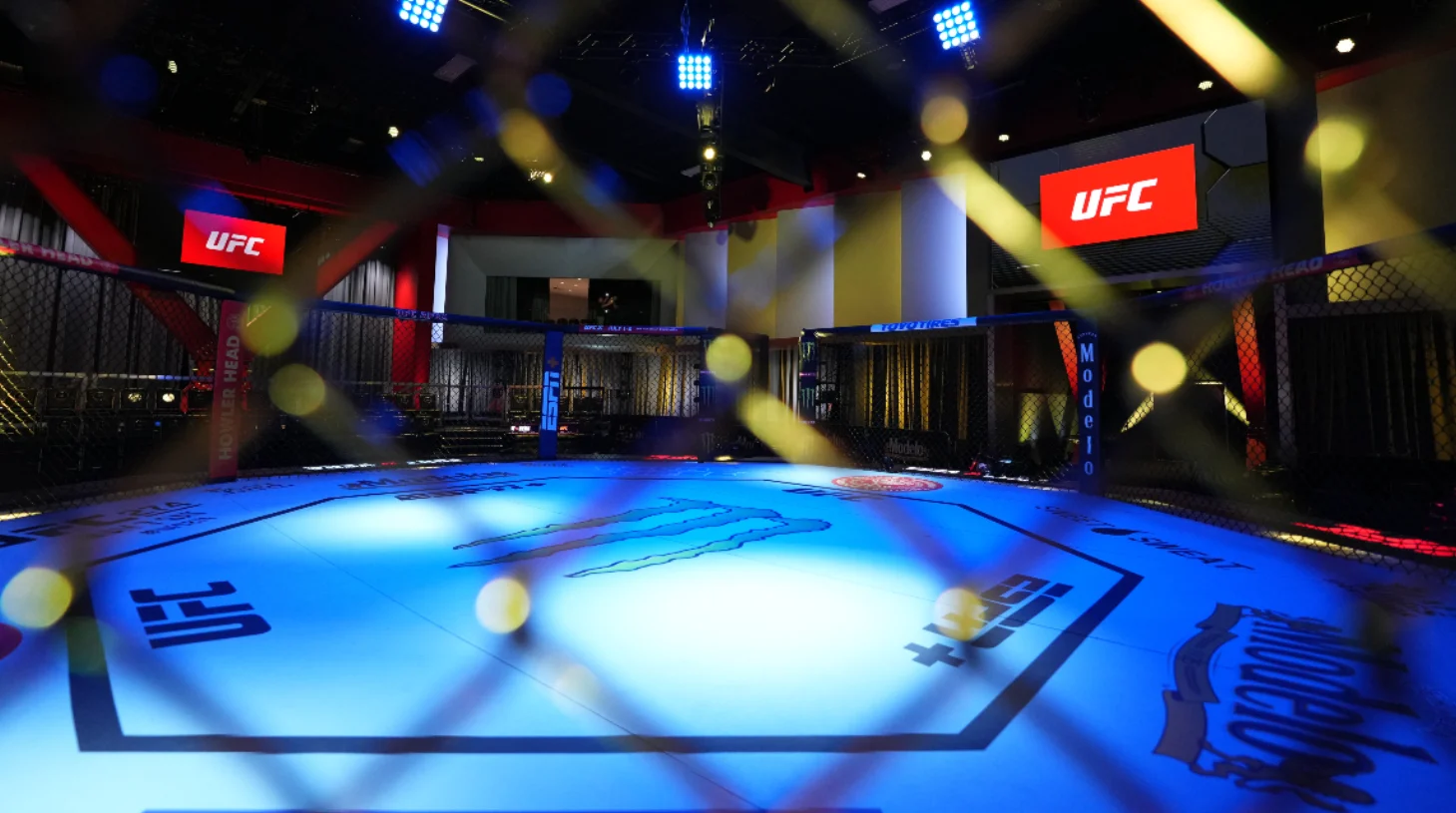 MMA Events Today Global Fights and Smart Betting 1