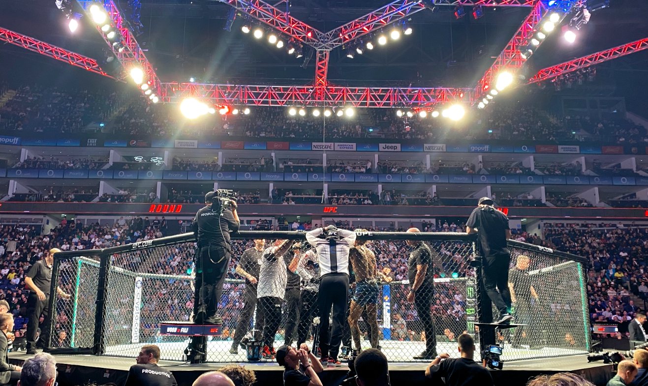 UFC Fight Night 2025 4