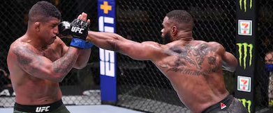 UFC Fight Night 256