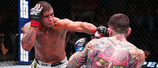 UFC Fight Night 256