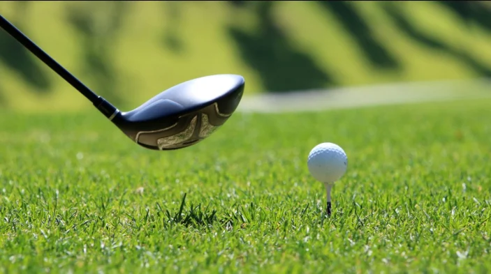 Golf Predictions 2025