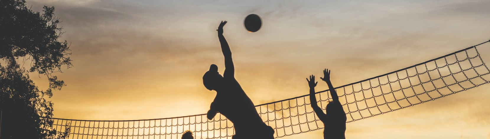 How to Bet on Volleyball