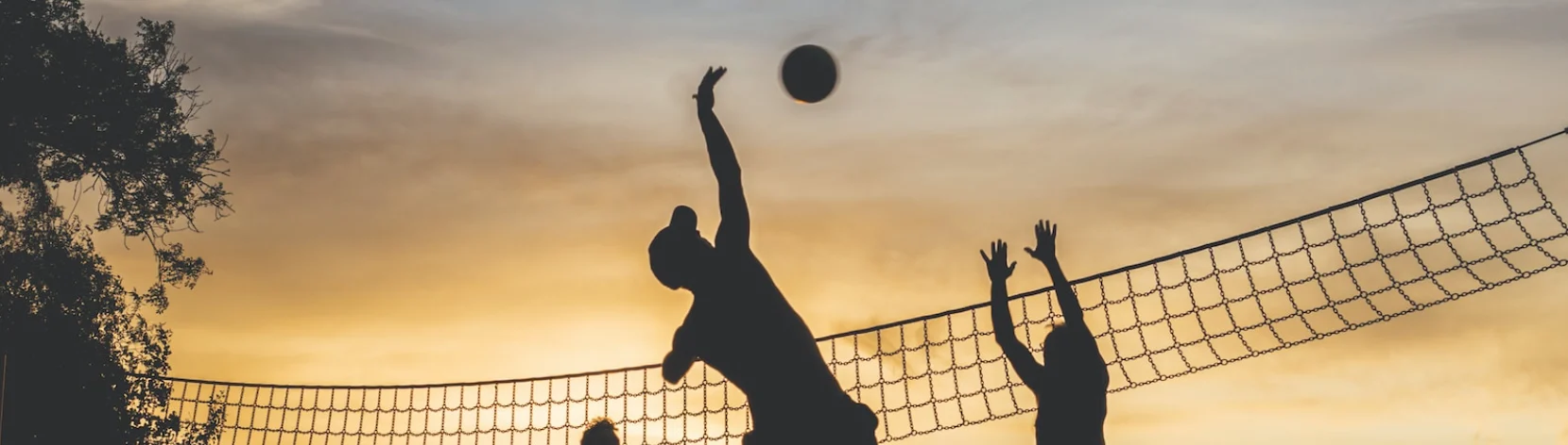 How to Bet on Volleyball